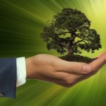 Besoin d’un mode de chauffage plus économique ? Pensez aux énergies renouvelables.